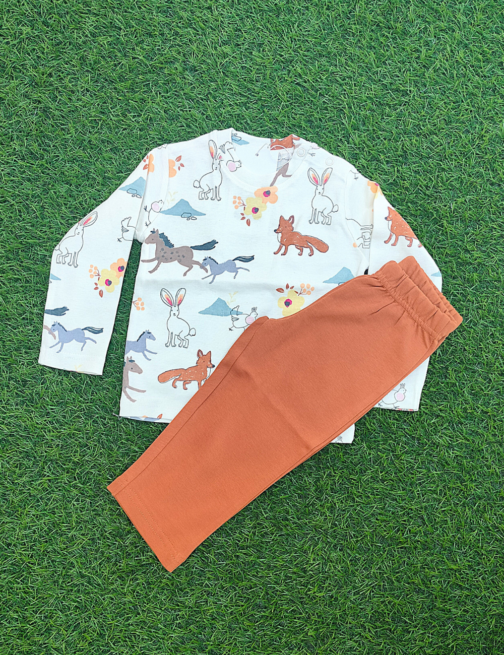 Stylish Animals Printed Full Hand T-Shirt & Pant Set